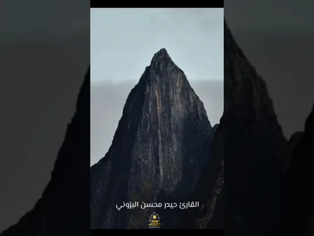 ⁣الحمدلله الذي أنزل على عبده الكتاب || القارئ حيدر محسن البزوني