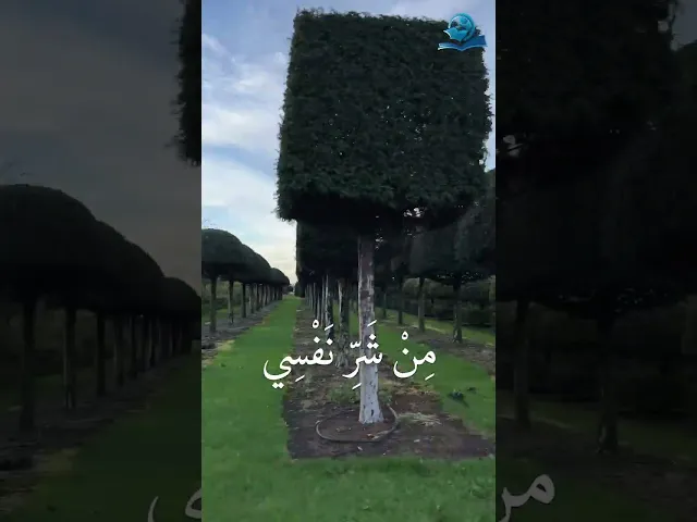 ⁣الحَمْدُ للهِ وَالحَمْدُ حَقُّهُ كَما يَسْتِحِقُّهُ حَمْداً كَثِيراً