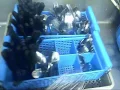 Dish Pit POV 1