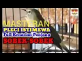 Download Lagu Masteran Pleci Full Kenarian, Panjang Istimewa