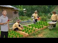 Download Lagu An works and builds a farm, will the kind CEO return to a poor girl, where will their love go?