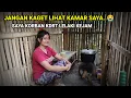 Download Lagu JANGET KAGET!! SAYA JANDA SENDIRIAN RUMAHNYA SEPERTI GUBUK REYOT TERPENCIL DI DEKAT HUTAN