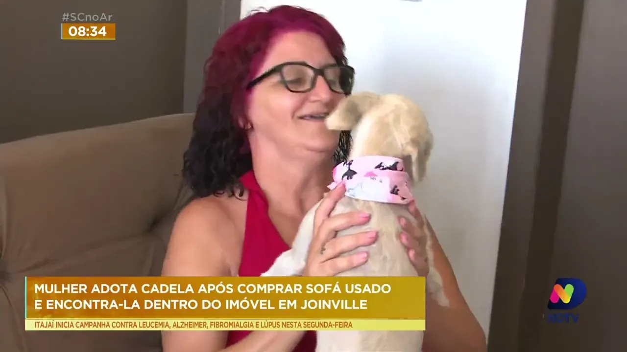 Moradora de Joinville adota cão que encontra dentro de sofá recém comprado