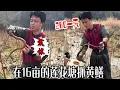 Download Lagu 小小羅：今天壹位大爺花260塊雇我幫他在16畝的蓮花塘抓黃鳝    #三農 #農村生活 #viralvideos #抓黃鳝
