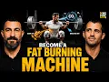 This Is How Your Body Gets Rid of FAT Andrew Huberman w Andy Galpin