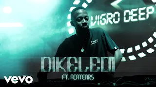 vigro deep dikeledi visualizer ft acatears