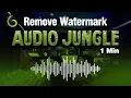 How to Remove Watermarks Jungle from in Adobe Audition