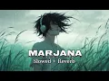 Marjana (Slowed & Reverb)| B Prak, siddhant | Baaghi 4 | TuneVortex 