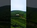 Download Lagu Jalan Berkelok dan indah di perkebunan teh taraju Tasikmalaya #viralvideo #nostalgia #wisata