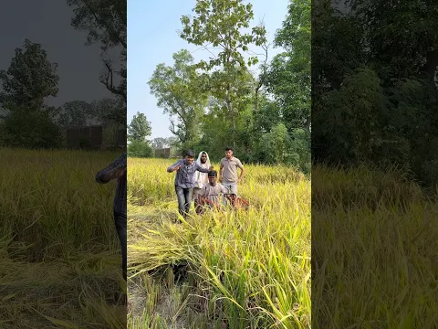 Naya Aadmi Kisi Kaam Ka Nhi Hai #funny #comedy #friends #kisan #dhankatai #harshpushptode #gaon