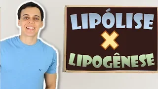 Lipogênese e Lipólise: O que são e Como Funcionam?