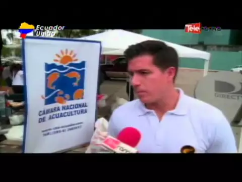 Pérdidas en el sector camaronero por terremoto en la costa ecuatoriana