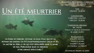 video_image