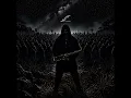 Shadow Beneath the Skin
