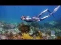 Download Lagu PADI FREEDIVER