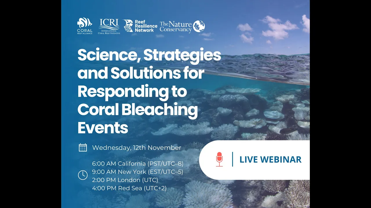 Science, Strategies, and Solutions for Responding to Coral Bleaching Events Webinar