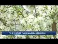 SSM Health Southcentral Wisconsin to expect a severe allergy season