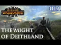 Download Lagu Forging an Empire with the might of Deithland | Total War: Warhammer III | Stream 1a