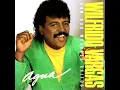 13 Años - Wilfrido Vargas