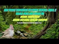 Download Lagu winged sparrow masteran top global !!