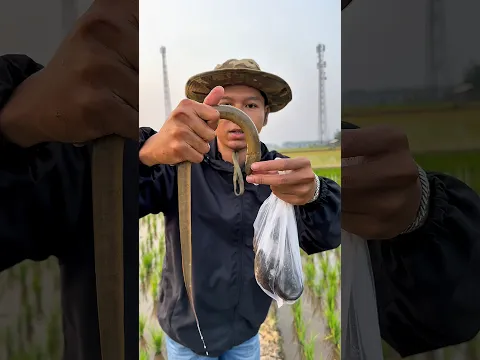 Berburu pakai cairan ajaib dapat belut banyak