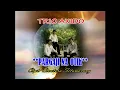 Lagu Aksidos Trio - Pargaji Na Otik