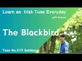 Download Lagu 579 The Blackbird (Setdance, G)