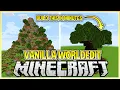 How to get Worldedit in Vanilla Minecraft Bedrock Java