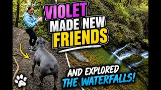 S1E51. Hiked One of California’s Most Beautiful Waterfalls… With a Doberman! 🐕🌲
