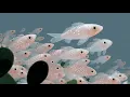 Beyond the Sea