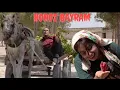 Download Lagu Horoz Bayram  | Eğlence Dolu Türk Komedi Filmi