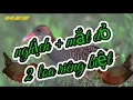 Download Lagu Tiếng chằng nghịch + mắt đỏ 2 loa riêng biệt mới nhất