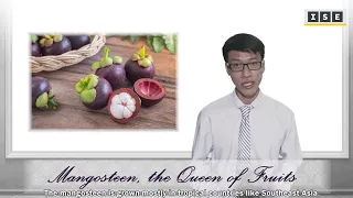The mangosteen fruit (or Garcinia mangostana, as it is known scientifically) is exotic, delicious an. 