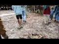 Download Lagu wisata kalimantan tengah di rumah betang buntok kalimantan tengah.