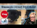 Homemade DIY Coconut and Sweet Potato Grain-Free Dog Treats! #DOGGYBAKING04