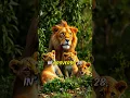 BE AS BOLD AS A LION