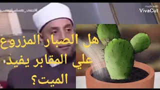 حكم زراعة الصبار على المقابر وهل ينفع الميت فى قبرة الشيخ رمضان عبد الرازق 