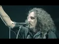 La Vela Puerca - El viejo (DVD "Festejar para sobrevivir, 20 Años")