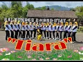 Download Lagu \