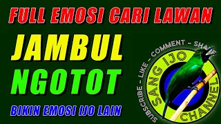 Download CUCAK IJO CARI LAWAN, JAMBUL NGOTOT BIKIN EMOSI IJO LAIN MP3