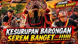 vlog,MAS DEWA KESURUPAN BARONGAN ADIBRATA#arekbudoyo 