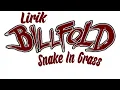 Download Lagu LIRIK LAGU BILLFOLD - SNAKE IN THE GRASS