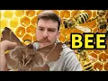 How many moths are on wikipedia