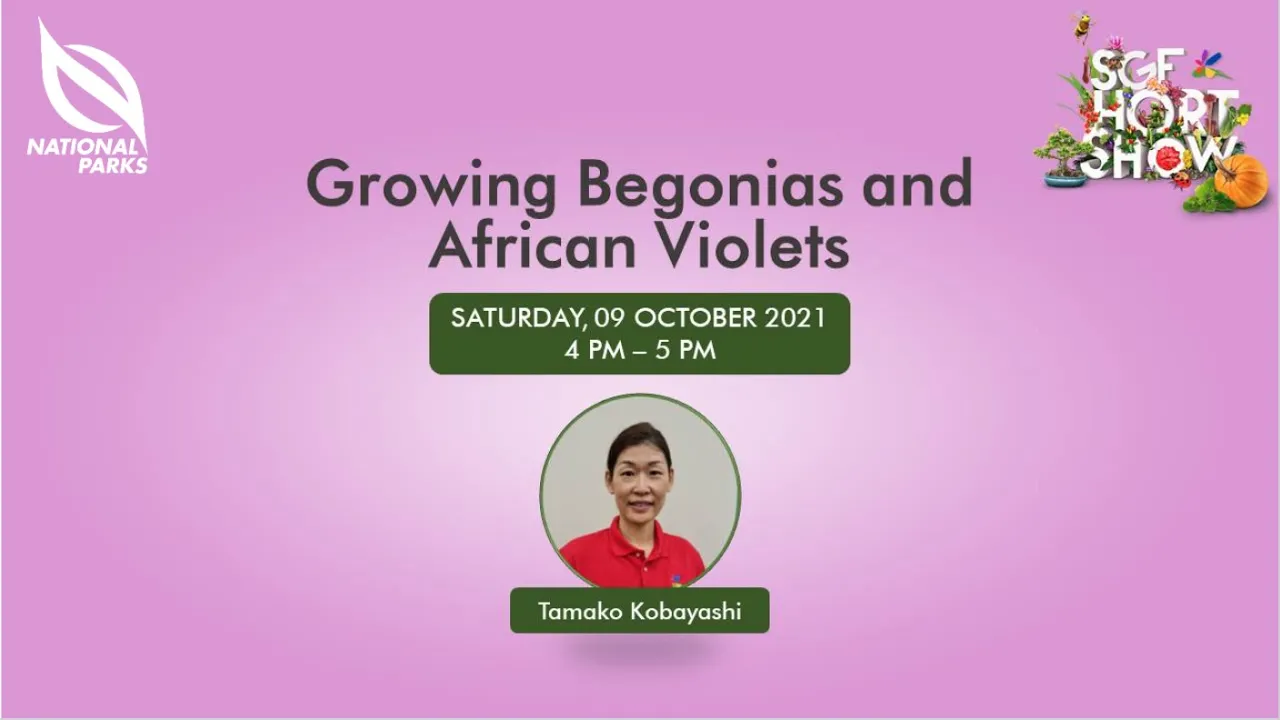 Growing Begonias and African Violets | SGF Hort Show 2021