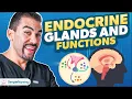 Endocrine System Simplified Thyroid Pituitary NCLEX Must-Knows