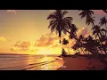 Coldplay – Yellow (Bossa Nova Cover by Laza Bossa) 🌴 Warm Beach Music Lyrics video