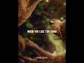 Download Lagu It Hurts🤕 We Miss That Bond 😔#10k #best #status #like #true #sad #emotional #friendship #true