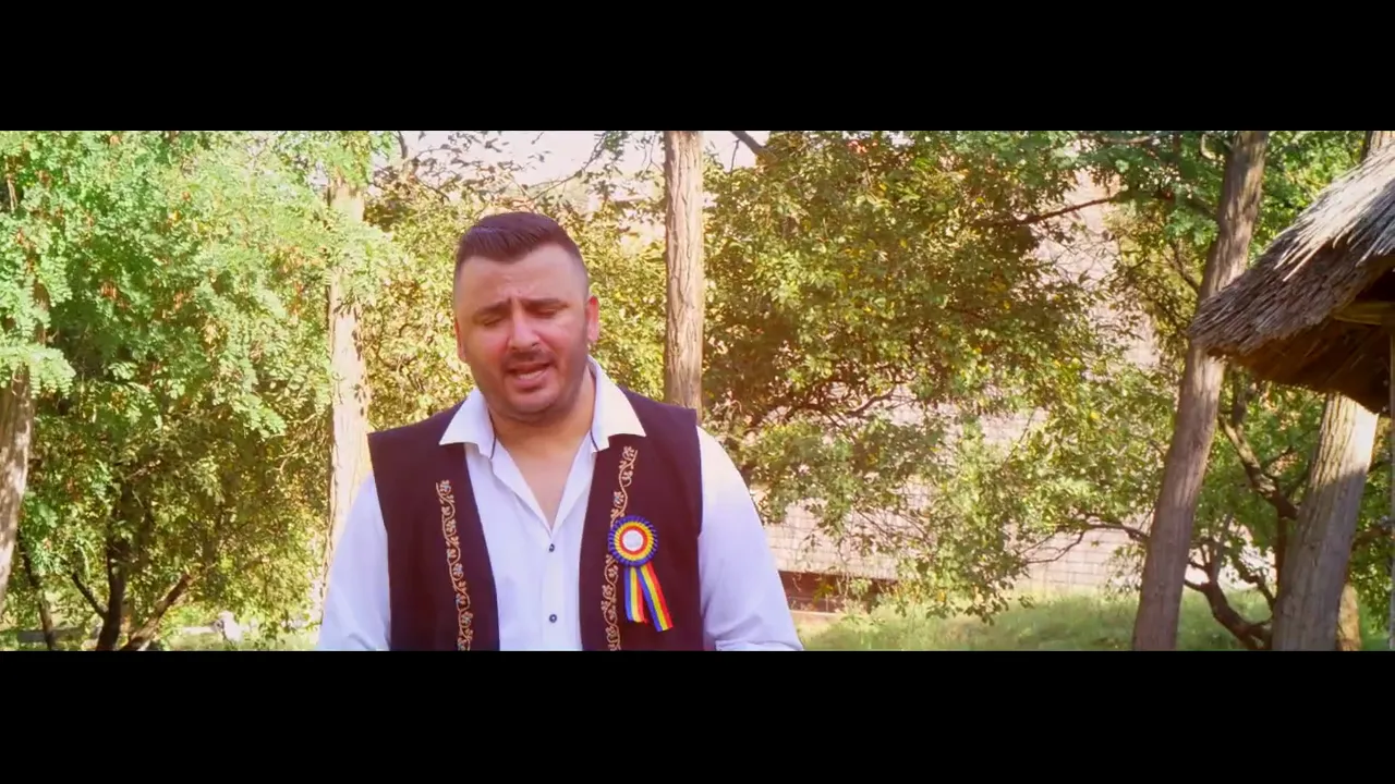 LIVIU GUTA - SA-TI ADUCI AMINTE 2020