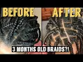 How to Refresh Knotless Box Braids No Twisting or Rubber Bands Needed 2021