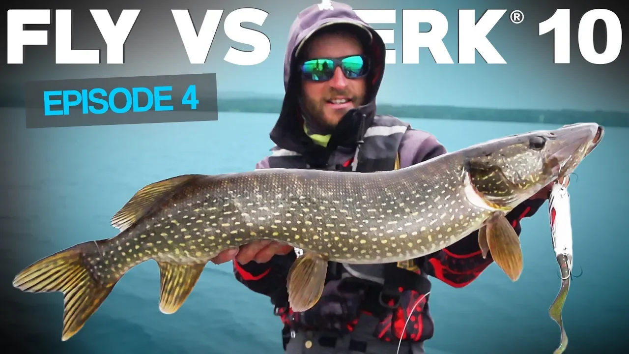 video Fly vs Jerk 10 - Reality pike fishing competition